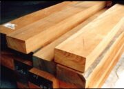 10 Jenis Kayu Terbaik untuk Konstruksi Bangunan