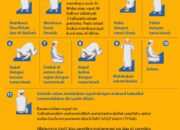 Shalat Hajat Menurut Primbon: Waktu dan Cara Terbaik untuk Mengabulkan Keinginan