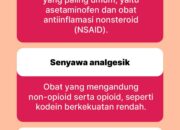 10 Jenis Obat Analgesik dan Kegunaannya dalam Dunia Kesehatan