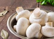 10 Jamur yang Aman Dikonsumsi dan yang Beracun