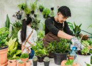 10 Jenis Usaha Tanaman Hias yang Sedang Tren dan Menguntungkan