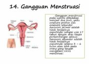10 Macam Penyakit pada Sistem Reproduksi Manusia dan Penyebabnya