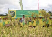 10 Jenis Kemampuan yang Harus Dimiliki oleh Kelompok Tani