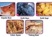 10 Bahan Hasil Samping Hewani dan Manfaatnya dalam Industri