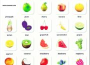 10 Buah dengan Akhiran Huruf K yang Penuh Kejutan!