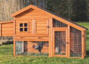 4 Tipe Kandang untuk Ayam Potong: Desain Optimal untuk Produktivitas Ternak!