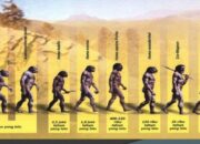 10 Macam Aliran pada Masa Praaksara dan Pengaruhnya