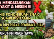 Gak Enak Hati Menurut Primbon: Apa yang Harus Dilakukan?