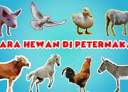 10 Jenis Ternak Kesayangan Beserta Ciri-cirinya yang Lucu