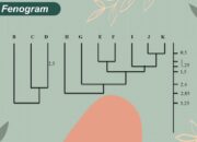 5 Langkah Pembuatan Fenogram: Panduan untuk Peneliti Genetika