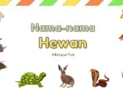 10 Nama Anak Hewan dalam Bahasa Sunda yang Unik dan Lucu