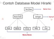 4 Tipe Data Hirarki di Data Warehouse BINUS: Struktur Data yang Harus Anda Ketahui!