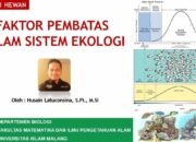 4 Tipe Pembatas dalam Keseimbangan Lini: Mengoptimalkan Proses Produksi Anda!
