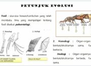 4 Tipe Rekombinasi Genetik: Mekanisme Penting dalam Evolusi dan Kesehatan!