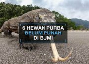 10 Jenis Hewan Purba yang Masih Tersisa di Bumi