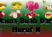 10 Buah yang Berawalan Huruf N yang Perlu Kamu Tambahkan ke Diet Harianmu!