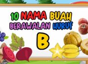 10 Buah Berawalan Huruf B yang Bikin Hidup Lebih Berwarna!