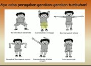 10 Gerakan Tumbuhan yang Menunjukkan Kehidupan