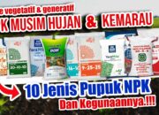 10 Jenis Pupuk Dan Cara Pengaplikasiaannya