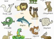 10 Hewan Buas dan Nama Mereka dalam Bahasa Inggris yang Wajib Kamu Tahu!