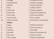 10 Hewan dan Tumbuhan dengan Nama Ilmiah dan Taksonomi Lengkap!