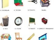 10 Nama Benda dalam Bahasa Inggris yang Sering Digunakan