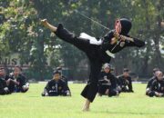 10 Gaya Pencak Silat Tradisional Indonesia dan Asalnya