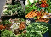 10 Hasil Pertanian Utama di Indonesia dan Manfaatnya