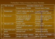 10 Perbedaan Hukum Acara Perdata dan Hukum Acara Pidana