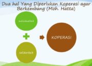 10 Perbedaan Koperasi dengan Badan Usaha Lain