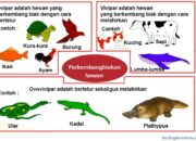 10 Hewan dengan Cara Berkembang Biak yang Menarik untuk Diketahui!