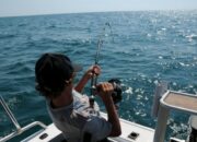 5 Tips Memancing Ikan di Laut yang Benar