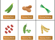 10 Jenis Tumbuhan Kacang-kacangan yang Penuh Nutrisi