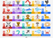 10 Hewan dengan Nama Latin Berawalan Huruf A yang Menarik untuk Diketahui!