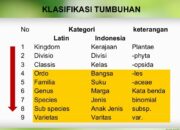 10 Jenis Tingkatan Takson Tumbuhan: Pengelompokan dan Klasifikasinya