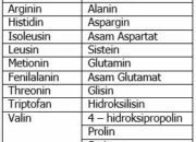 10 Nama Asam Amino Esensial yang Penting bagi Tubuh