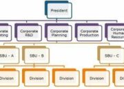 4 Tipe Struktur Divisional atau Strategic Business Unit: Mengelola Bisnis dengan Efisien!