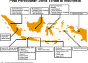 10 Jenis Tanah Pengertian Dan Persebaran Di Indonesia