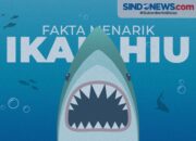10 Fakta Menarik tentang Ikan Myxini yang Jarang Diketahui!