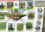 10 Jenis Pohon yang Wajib Diketahui untuk Lingkungan yang Sehat