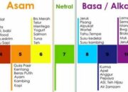 10 Perbedaan Asam dan Basa: Sifat dan Aplikasi