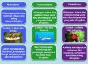 10 Jenis Makhluk Hidup dan Peranannya dalam Ekosistem