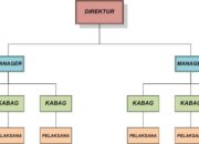 4 Tipe Organisasi Bisnis: Pilih Struktur yang Tepat untuk Sukses Bisnis Anda!