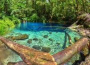 10 Taman Nasional Terindah di Indonesia yang Harus Kamu Kunjungi!