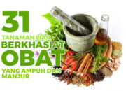 10 Jenis Biji untuk Obat Herbal yang Berkhasiat