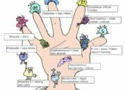 5 Langkah Patogen Kuman: Dari Pasien ke Pasien Cara Penyebaran dan Pencegahannya!