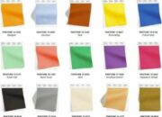10 Warna Spring: Tren Warna Musim Semi untuk Fashion dan Dekorasi
