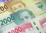10 Jenis JKP Baru: Peluang Karier dan Jaminan Sosial