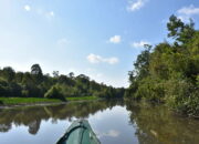 10 Taman Nasional di Indonesia dan Keunikan Biodiversitasnya