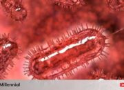 10 Bakteri Berbahaya yang Harus Kamu Hindari